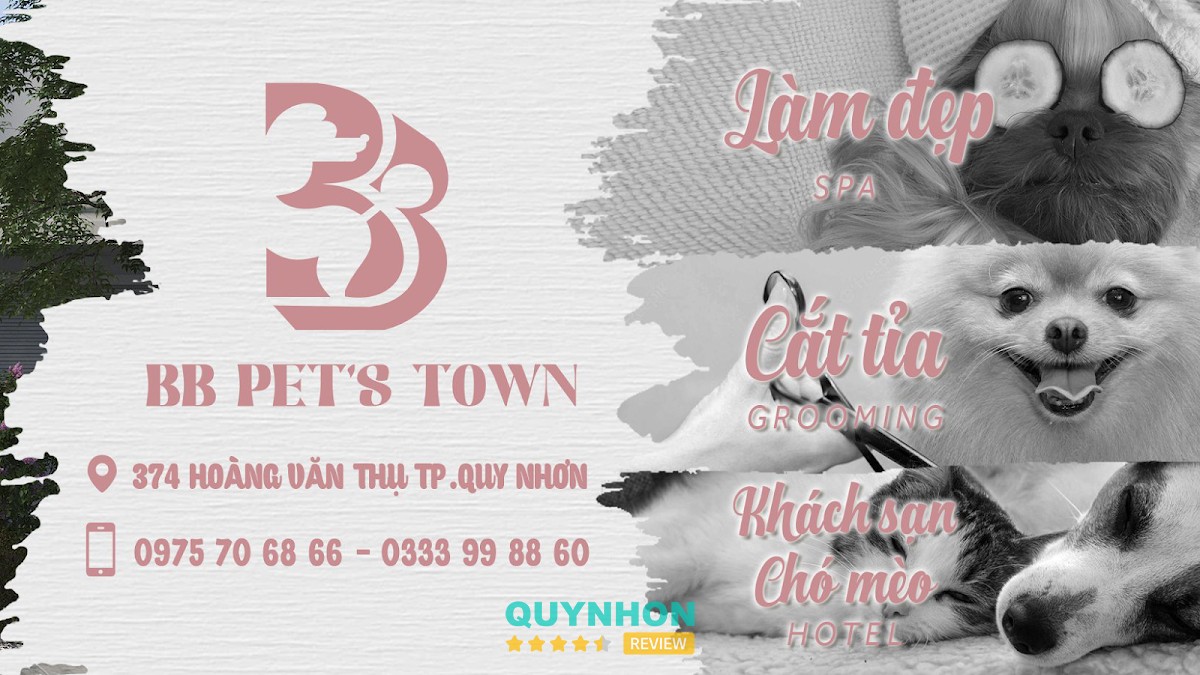 BB PET’S TOWN Quy Nhơn - Grooming, Spa, Hotel – 374 Đ. Hoàng Văn Thụ, Quy Nhơn Nam, Gia Lai 55111, Việt Nam