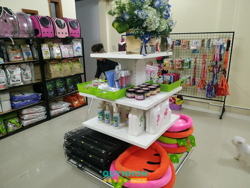 Huong Poodle Home – 07 Nguyễn Phi Khanh, Quy Nhơn Nam, Gia Lai, Việt Nam