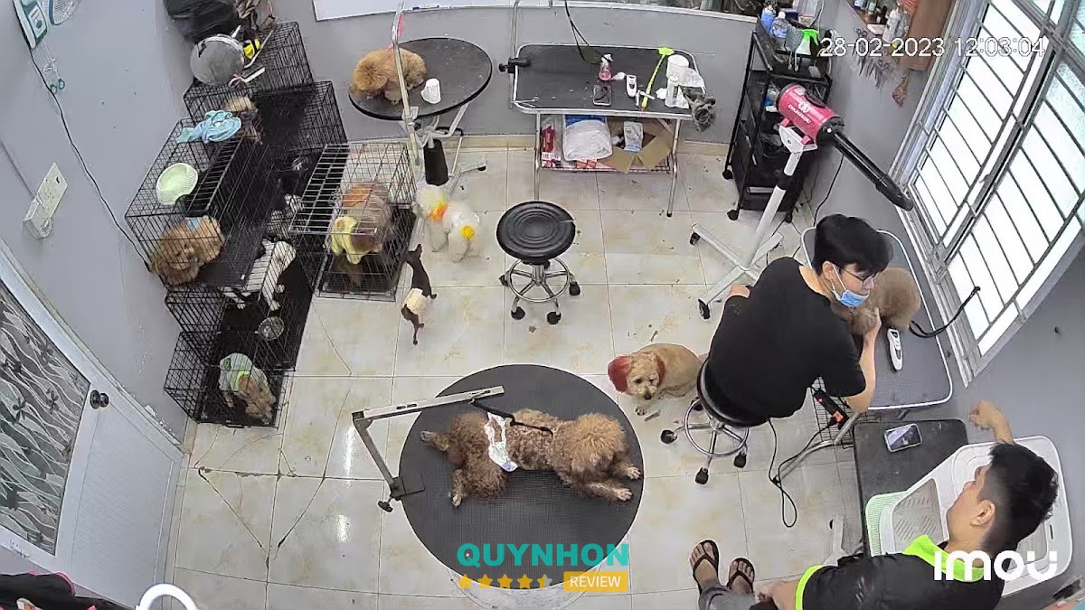 Mini Pet - Siêu thị thú cưng Quy Nhơn – 405a Nguyễn Thị Minh Khai, Quy Nhơn Nam, Gia Lai 820000, Việt Nam hình ảnh 2