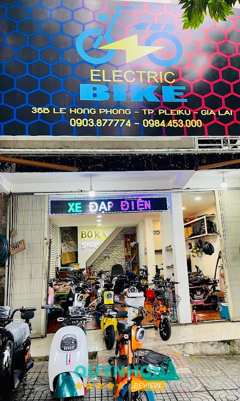 xe điện gia lai – hình ảnh 2