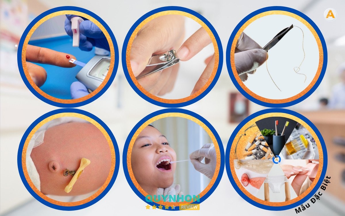 Xét Nghiệm Adnvietnam Gia Lai – hình ảnh 2